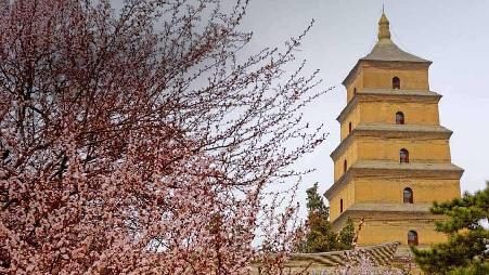 西安大雁塔