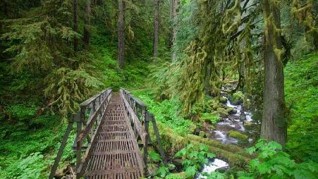 俄勒冈州的哥伦比亚河峡谷