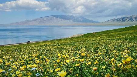 天山脚下的湖水和风光