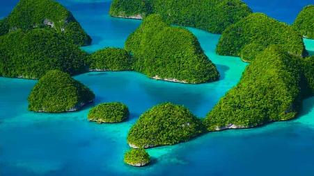 帕劳群岛的岩石岛