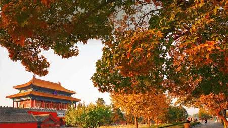 北京故宫博物院