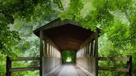 密歇根州南黑文港黑河上的廊桥