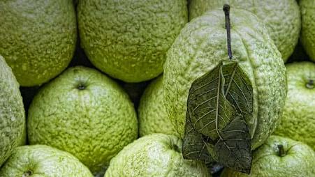 台北市场的番石榴