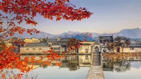 安徽宏村桥边的枫树