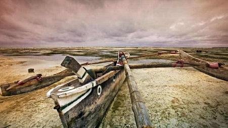 坦桑尼亚桑给巴尔岛的海滩