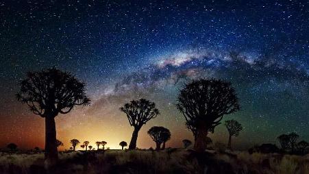 纳米比亚箭袋树林上空的银河