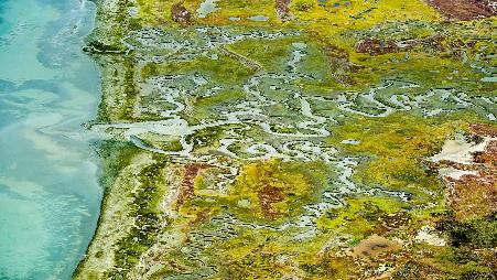 南非西海岸国家公园，兰格班泻湖