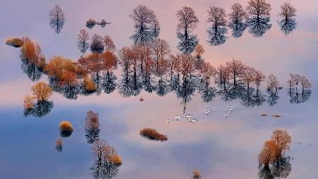 斯洛文尼亚，卢布尔雅那河喀斯特盆地，洪水淹没了平原