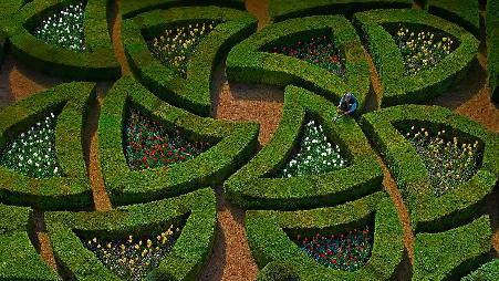 法国卢瓦尔河谷，维兰德里城堡的花园