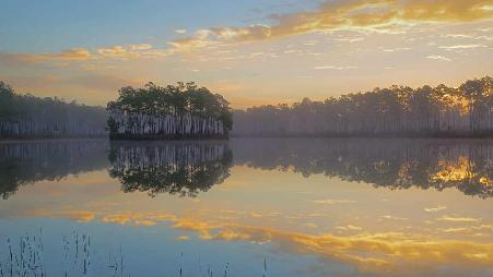 美国，佛罗里达州，大沼泽地国家公园的长礁岛