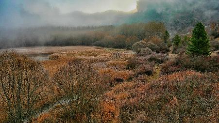 西班牙，靠近昆卡的潟湖