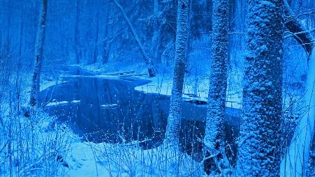 波兰，比亚沃维耶扎原始森林中的Łutownia河