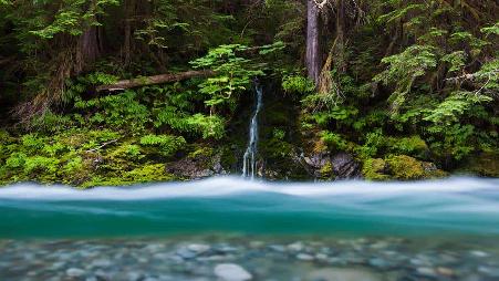 华盛顿，贝克山 - 斯诺夸尔米国家森林公园， 培根溪流