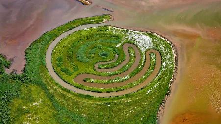 在De Biesbosch国家公园，土地艺术家Paul de Kort的装置艺术作品，荷兰