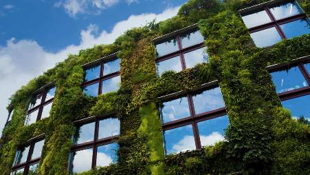 凯布朗利博物馆的外墙，法国巴黎