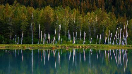 楚加奇国家森林的波蒂奇湖，阿拉斯加州