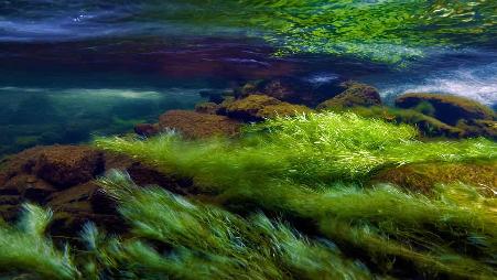 斯诺多尼亚国家公园的Afon Ogwen河，英国威尔士