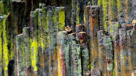 在乌姆普夸国家森林的柱状玄武岩石材，美国俄勒冈州