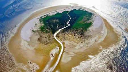 Zuiderduintjes岛，西弗里西亚群岛，荷兰