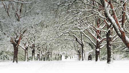 南安普敦公园，南安普敦，英格兰