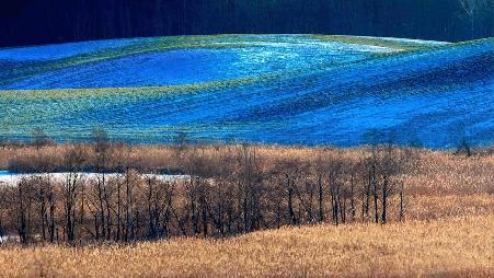 巴尔切沃村庄的近郊，奥尔什丁市，波兰