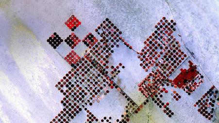 埃及南部的灌溉系统