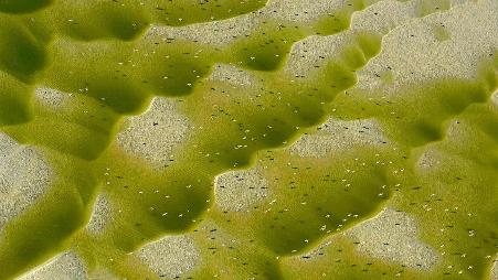 索姆河河口，法国