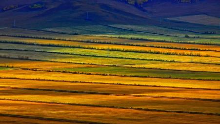 【今日立秋】内蒙古呼伦贝尔草原，中国