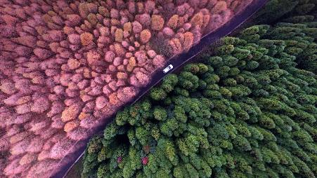 重庆郊区的山王坪喀斯特国家生态公园，中国