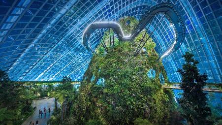 滨海湾花园，新加坡