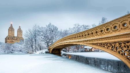 中央公园的弓桥，美国纽约市