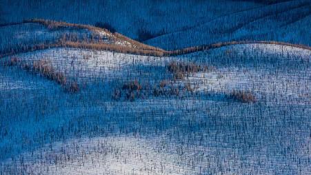 沃尔夫克里克山口附近被火灾破坏的森林，美国科罗拉多州