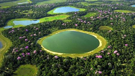 潘塔纳尔湿地，巴西