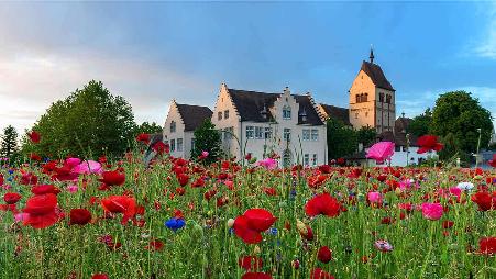 赖兴瑙岛上的圣玛丽圣马古斯教堂，德国巴登-符腾堡州