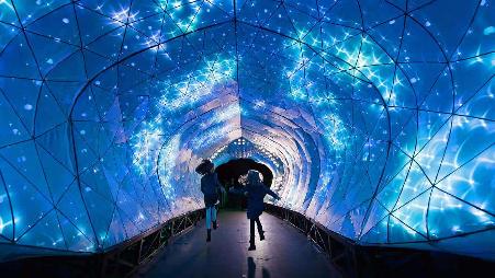 塔龙加动物园内的'PJ the Port Jackson Shark'光影雕塑，澳大利亚悉尼