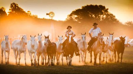 在圣安东尼奥·德阿雷科小镇举办的高乔民俗节，阿根廷布宜诺斯艾利斯省