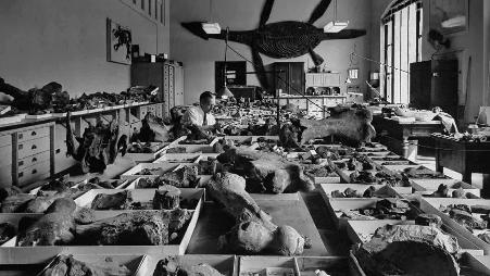 1846年8月10日成立的史密森尼学会