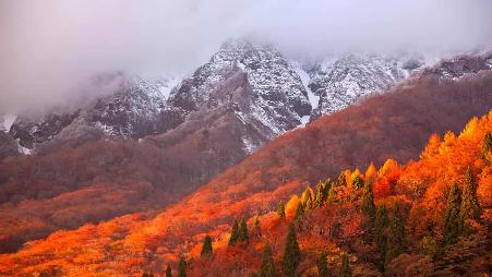 一座叫做大山的大山，神奈川的新视角。温暖治愈系必打卡之地