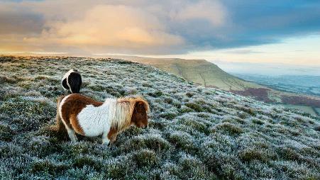 万中无一的隐世，自然与人文的美妙结合。愿意和我在这儿共度余生吗？