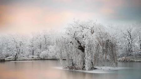 从前……如果我们梦见一个罐子呢?