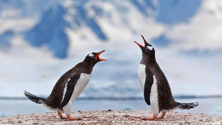 这是我们的节日