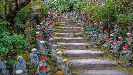 谁戴着这么可爱的帽子?