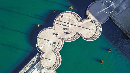 一个圆形的庆祝活动