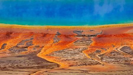 这些颜色从何而来?