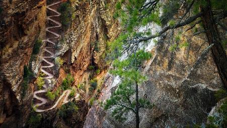 那条漫长而曲折的小路