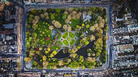 在利奥波德的足迹中绽放