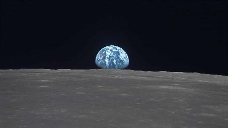 今天是“登月之日”。