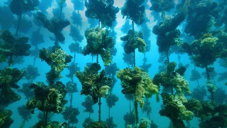 哎呀，今天是生蚝日