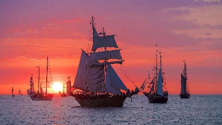 今天 "像海盗一样说话 "