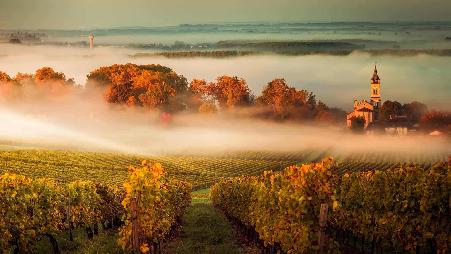 享乐主义者的天堂